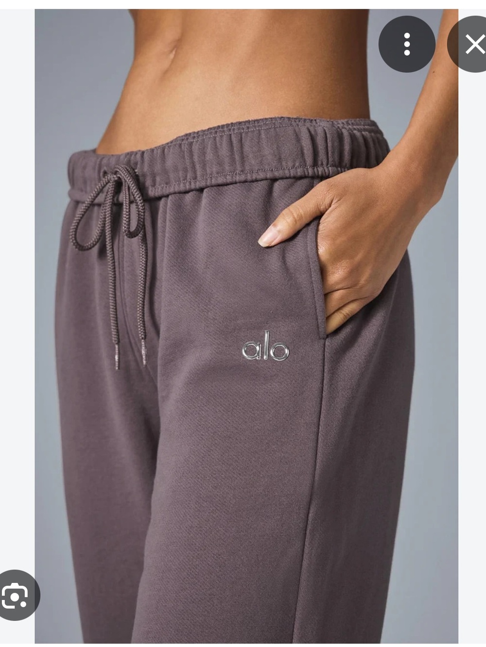 ALO Accolade Sweatpants in Raisinette